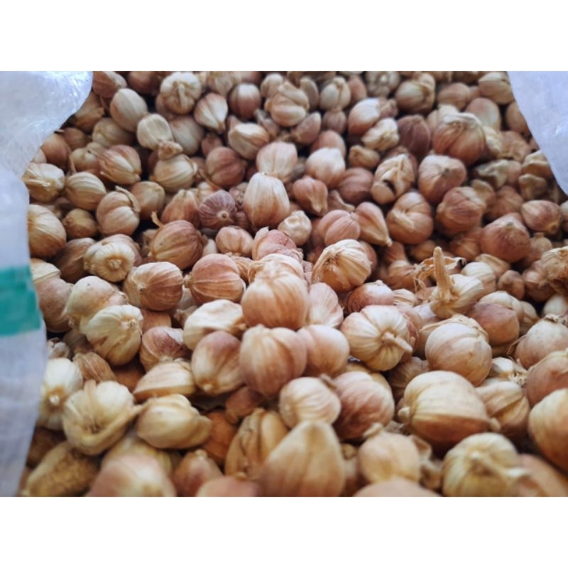 

Kapulaga 100gram kering Original