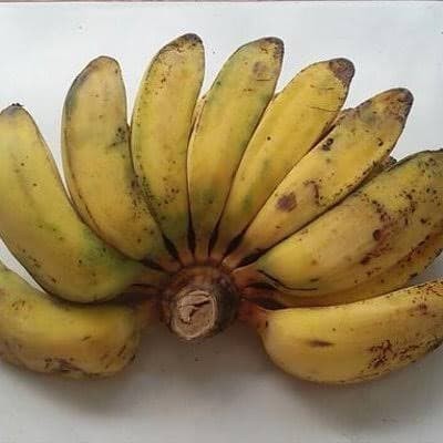 

Pisang Kepok 1 Sisir