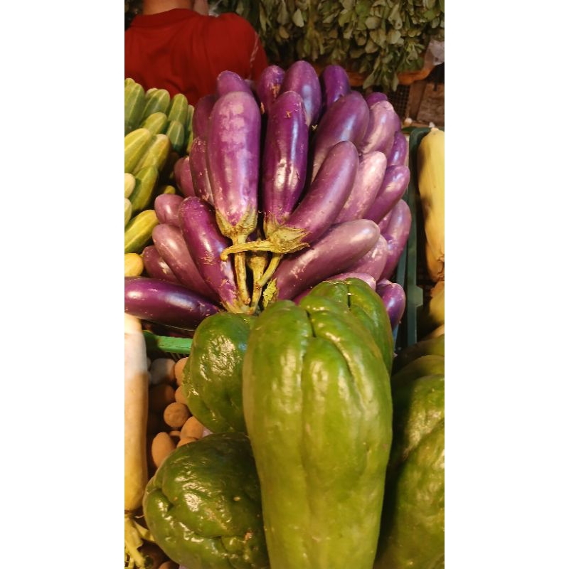 

terong ungu 1 kg