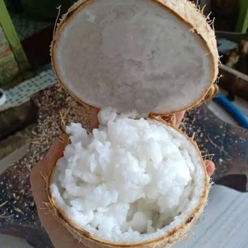 

Kelapa Kopyor asli Pati petik pohon syarat ketentuan berlaku