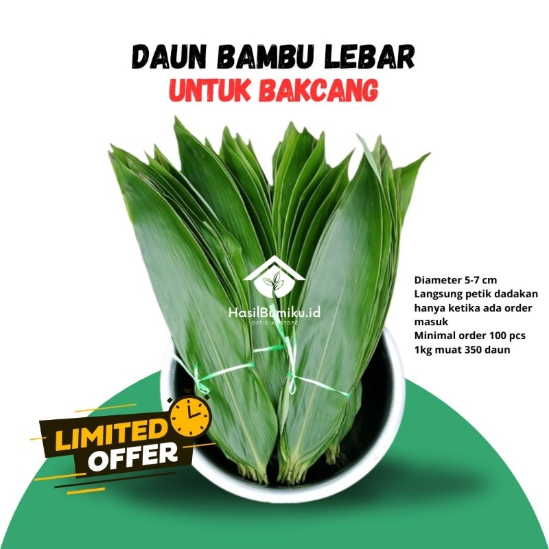 

Daun Bambu Lebar Segar/Fresh Untuk Bungkus Bakcang Per-lembar Kualitas Premium