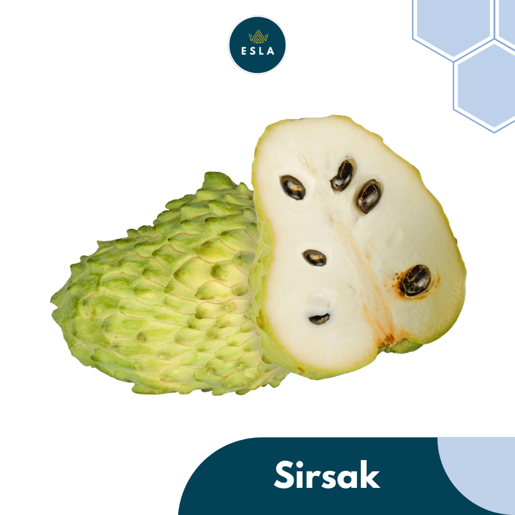 

SIRSAK 1 KG I Buah Fresh dan Premium - ESLA