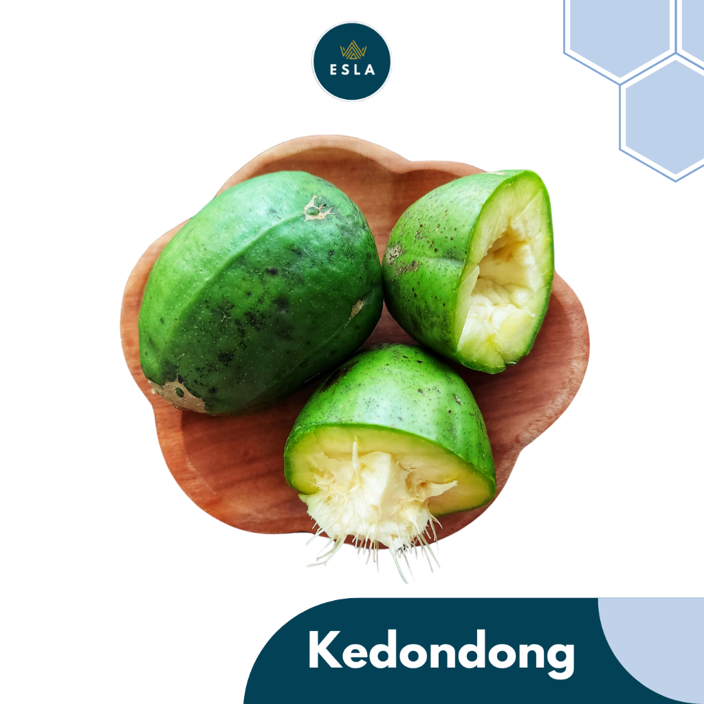 

KEDONDONG 1 KG I Buah Fresh dan Premium - ESLA