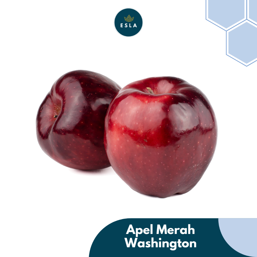 

APEL MERAH WASHINGTON I Buah Fresh dan Premium - ESLA