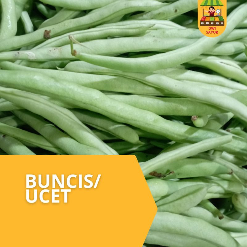 

Sayur Buncis/Ucet Premium 100g,250g,500g