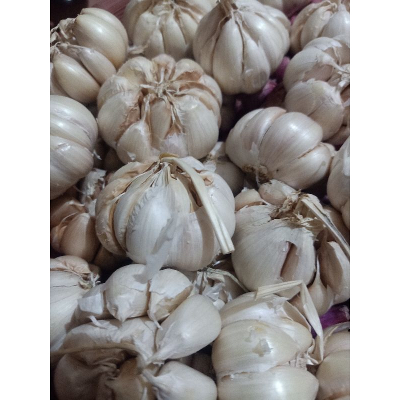 

Bawang Putih bumbu masakan dapur