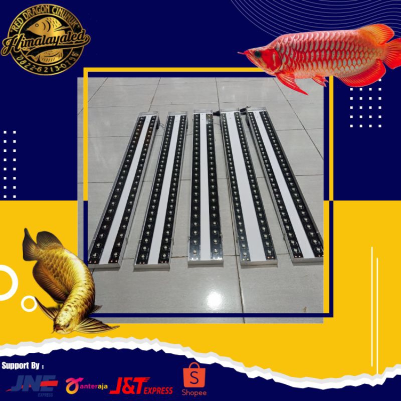 Lampu Tanning Arwana LED HPL 72 Watt 100cm