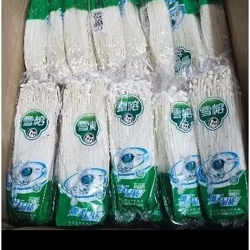 

Ready Enoki