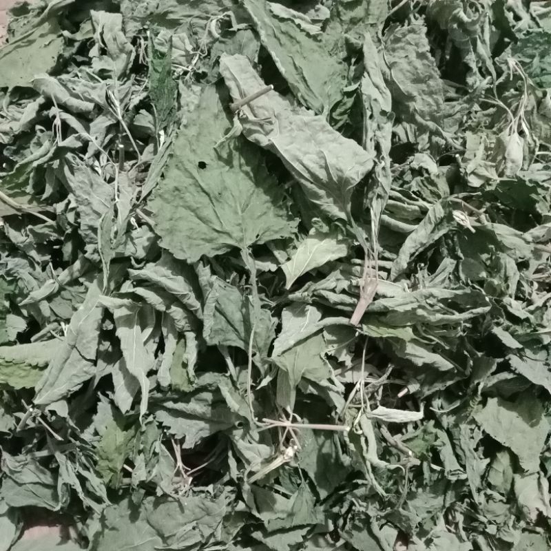 

daun kirinyuh atau bakakacida kering 250g