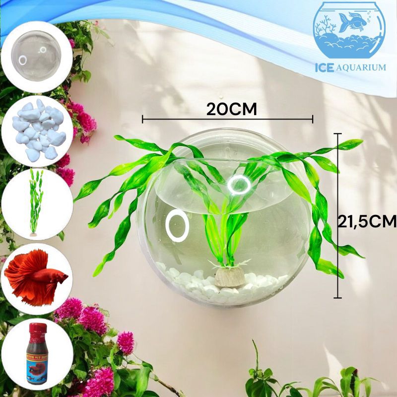 Akuarium Dinding Bulat / Aquarium Gantung / Akuarium Bulat Akrilik / Ikan Cupang (I)