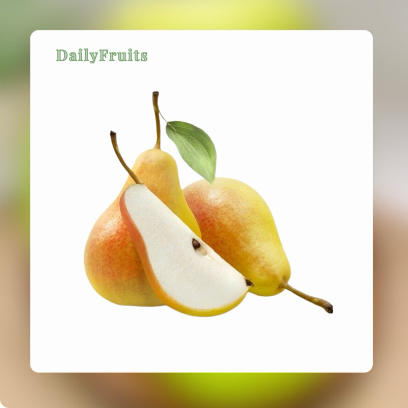 

Pear Xiang Lie Super Fresh Import | DailyFruits