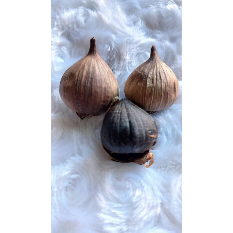 

Bawang hitam lanang tunggal 100gr ukuran kecil