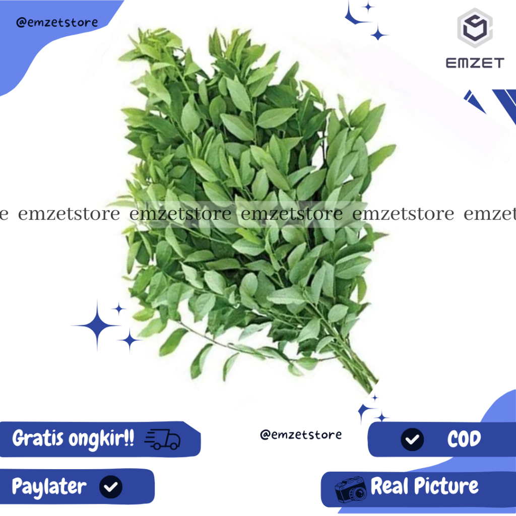 

Daun katuk segar 100gram Baru PetiK/Pelancar ASI