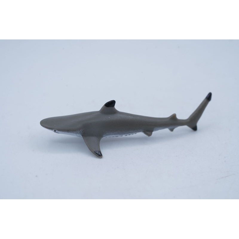 Collecta A1212 Mini Sea Animals | BlackTip Reef Shark Ikan Hiu Karang Sirip Hitam Carcharhinus melan