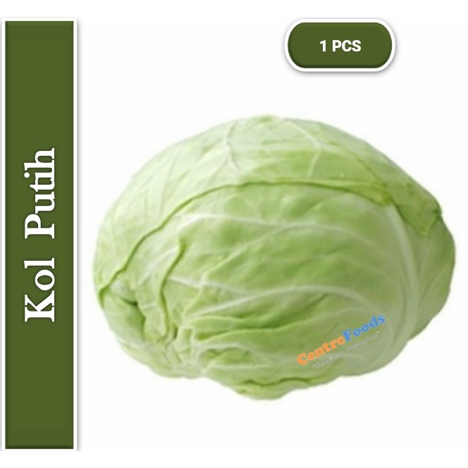 

Sayur Kol Putih Fresh - Kubis Java | 1.6-2 Kg [ Harga Per PCS ]
