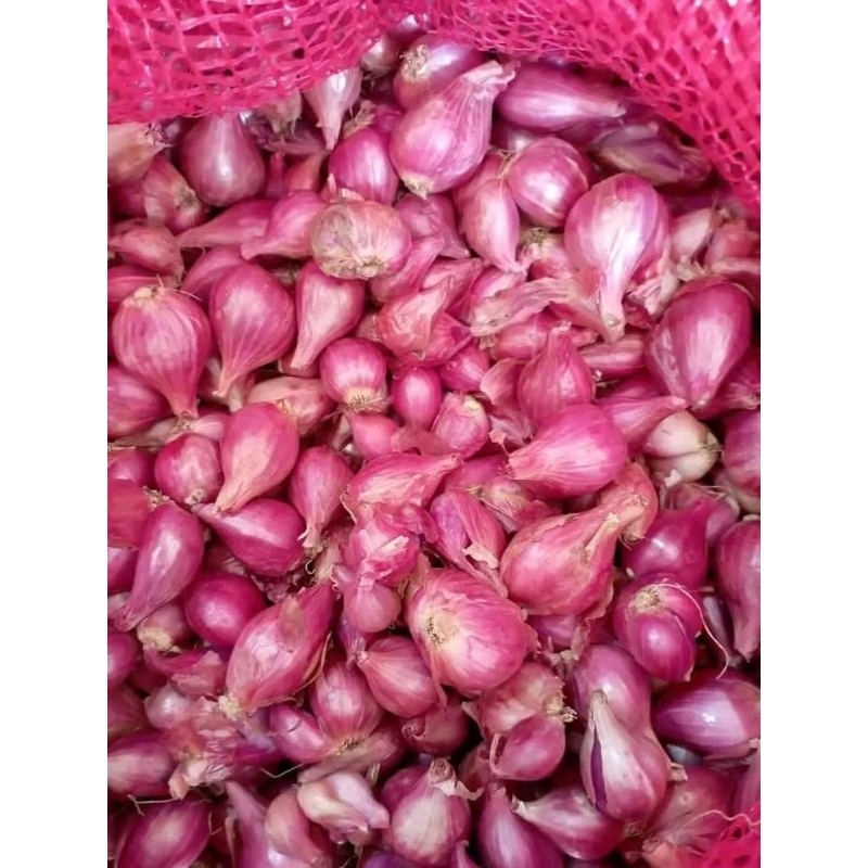 

bawang merah segar lokal fresh rempah Indonesia