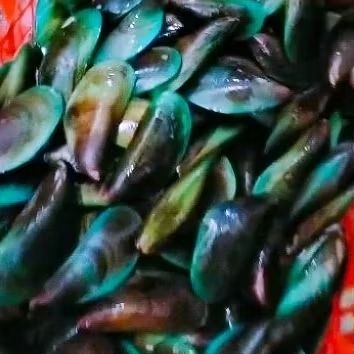 

Kerang Hijau Ukuran Super(1 Kg) - Stock Segar Harian