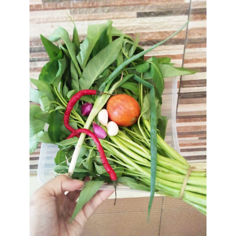 

Kangkung fresh segar satu ikat