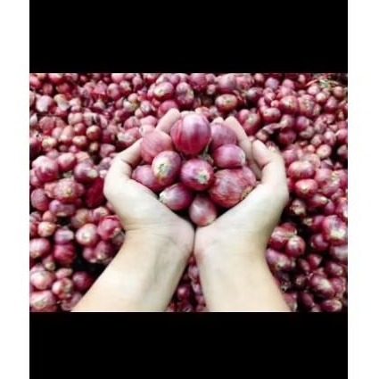 

Bawang merah super asli probolinggo kwalitas super terlaris termurah