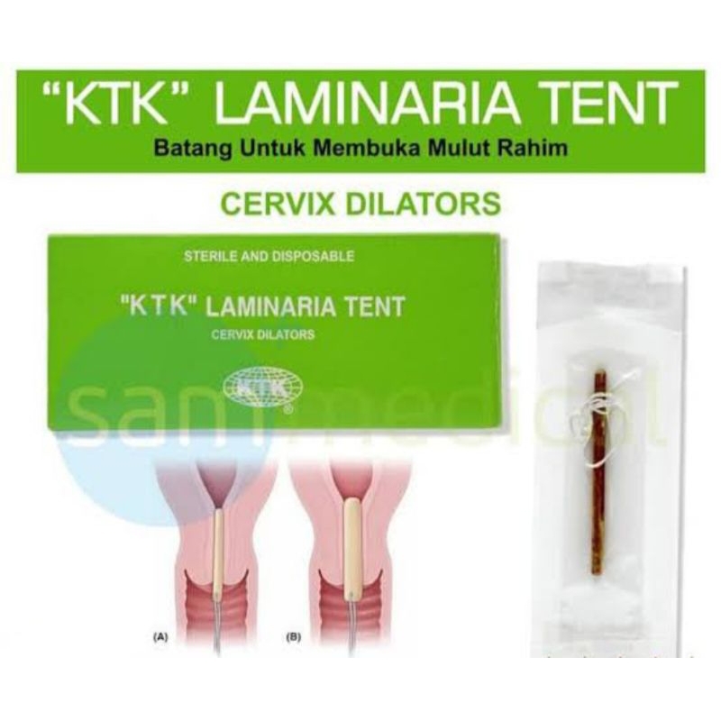 Laminaria Uk, S KTK