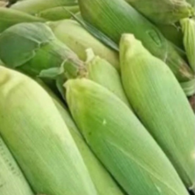 

jagung manis 1.kilogram.Rp.12.000