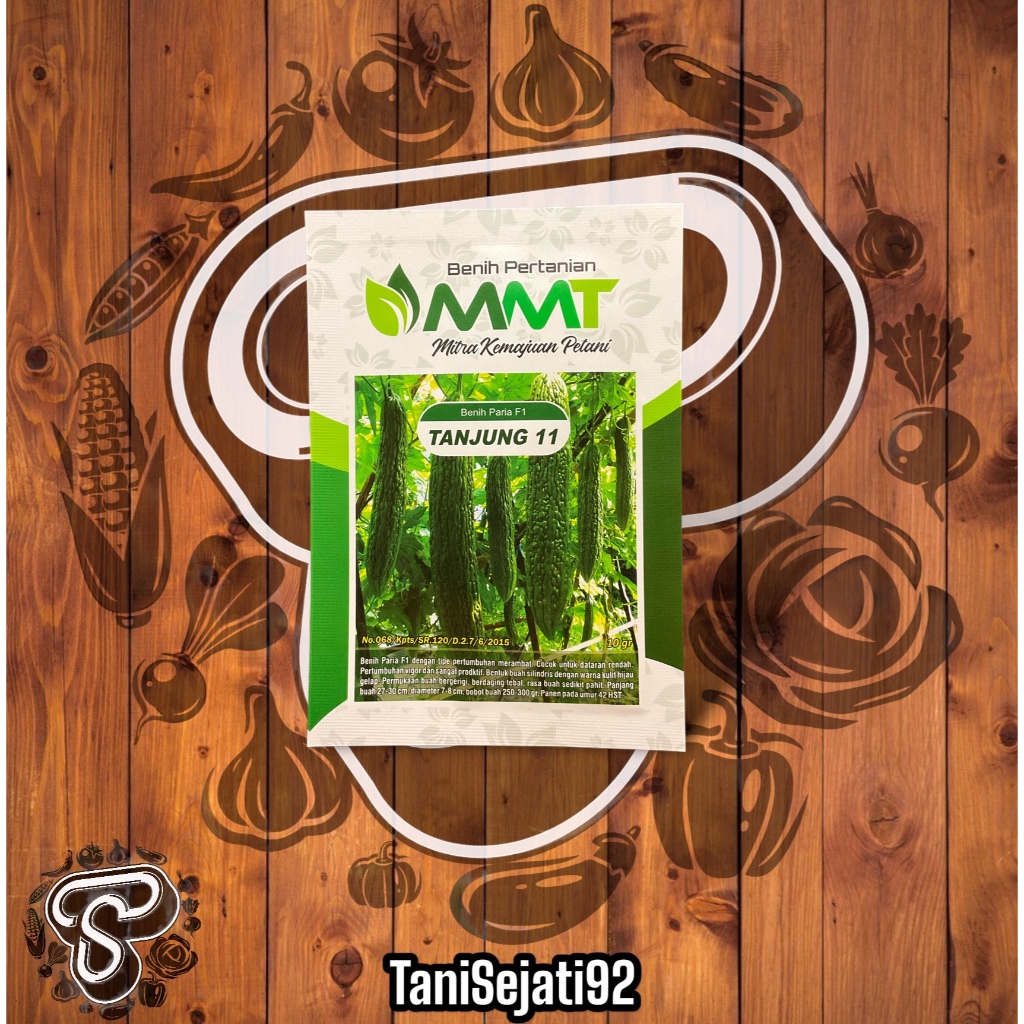 BENIH PARIA TANJUNG 11