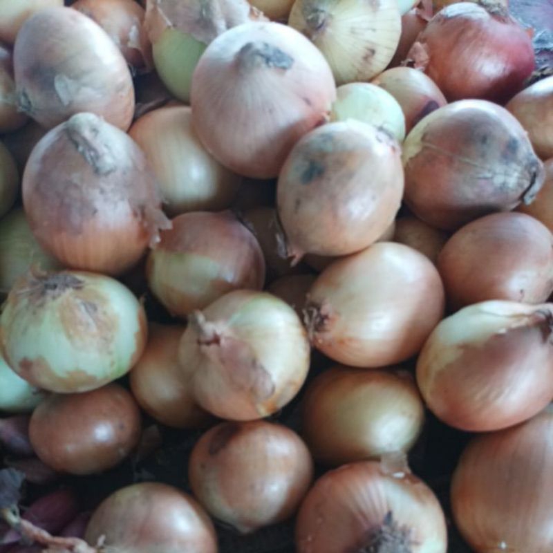 

Bawang Bombay