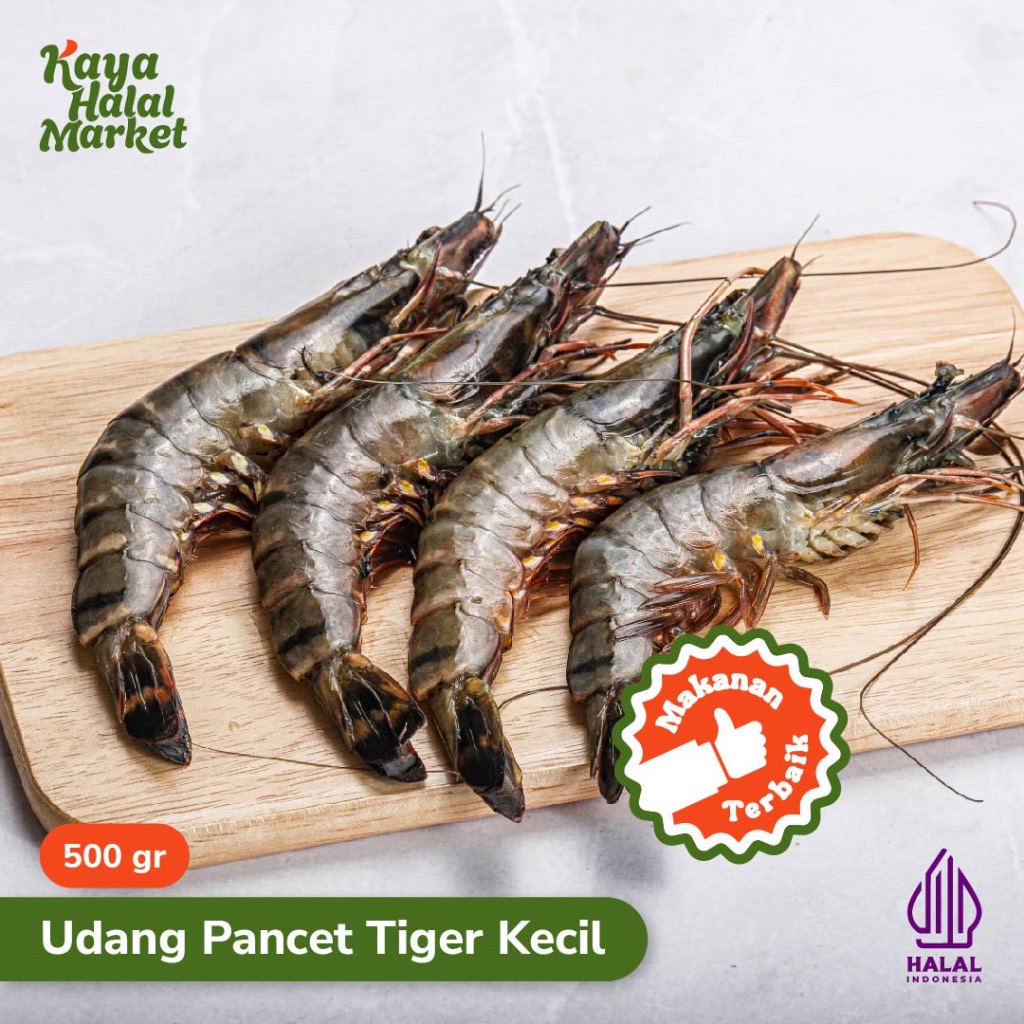 

Udang Pancet / Tiger Kecil 500gr Fresh Kaya Halal Market