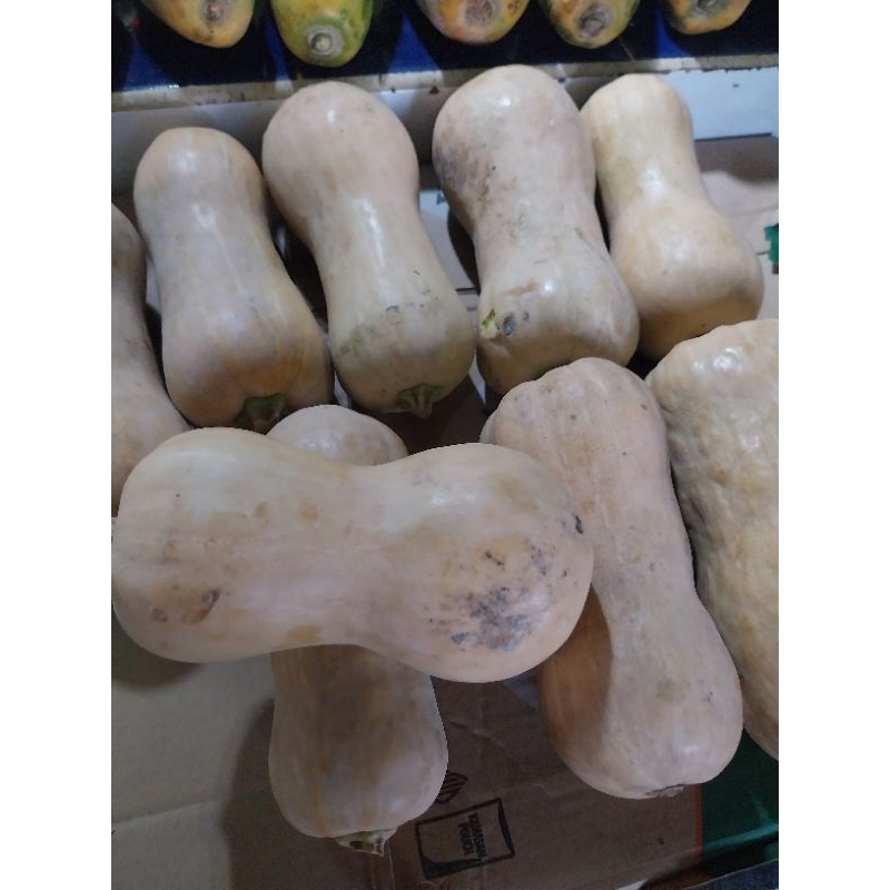 

labu kuning lonjong 1kg