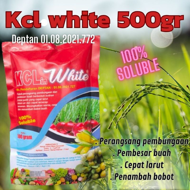 Pupuk Kcl white 500 gram semprot kcl putih
