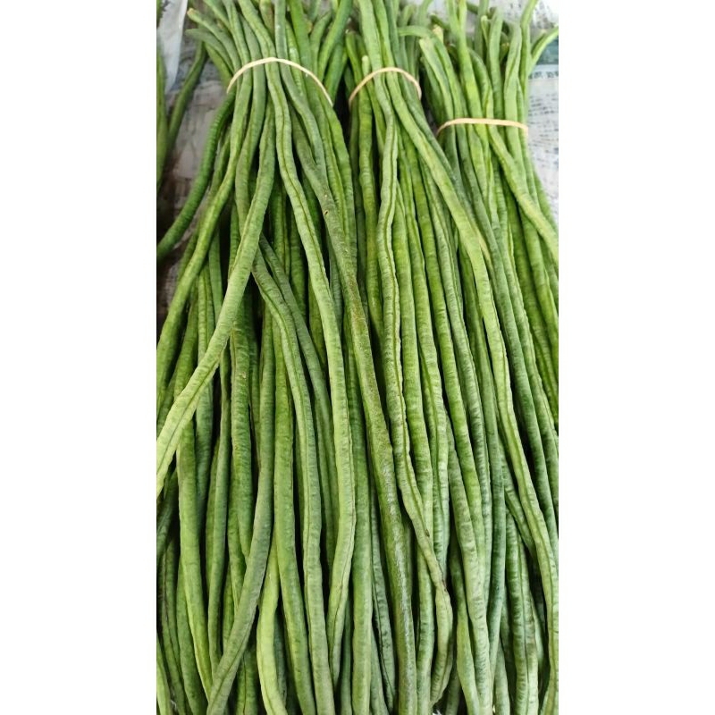 

Kacang Panjang 1/2 Kg