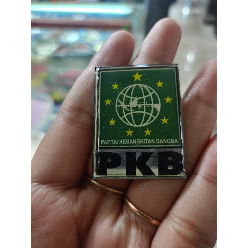 pin pkb