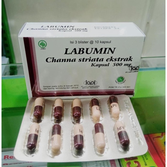 LABUMIN KAPSUL strip Labumin Kapsul labumin kapsul - Daya tahan tubuh (ekstra ikan gabus) - Lapi