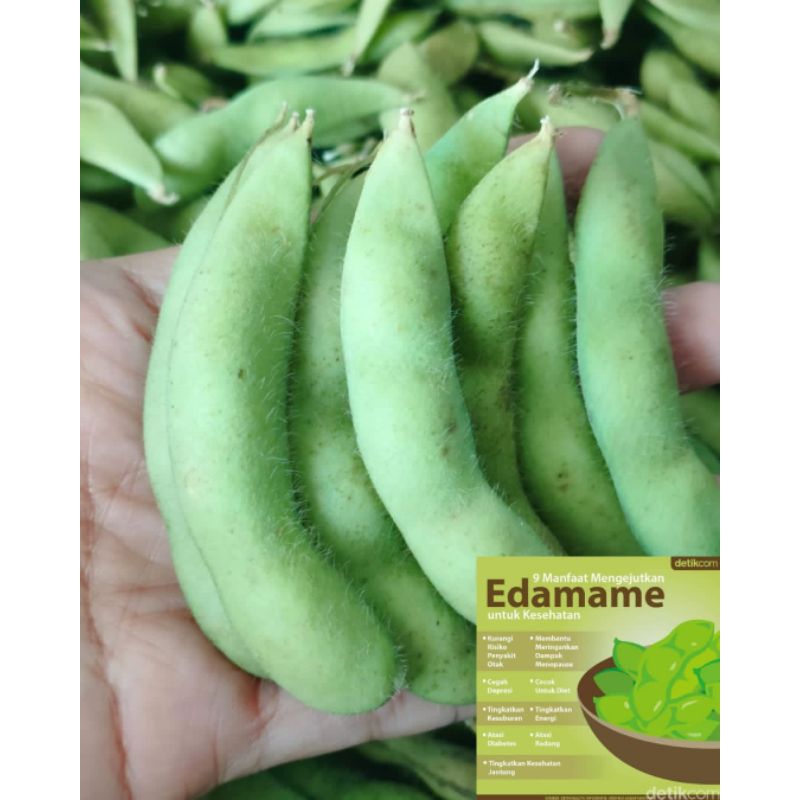 

Kacang edamame super