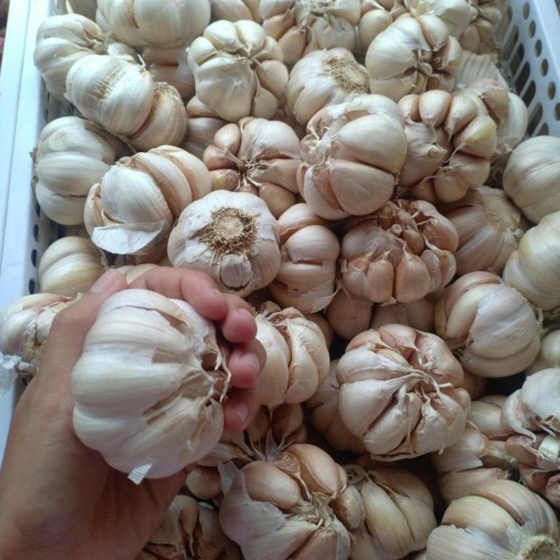 

Bawang putih 250g