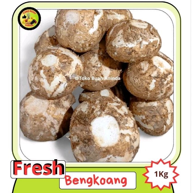 

Bengkuang 1 kg fresh dan Segar