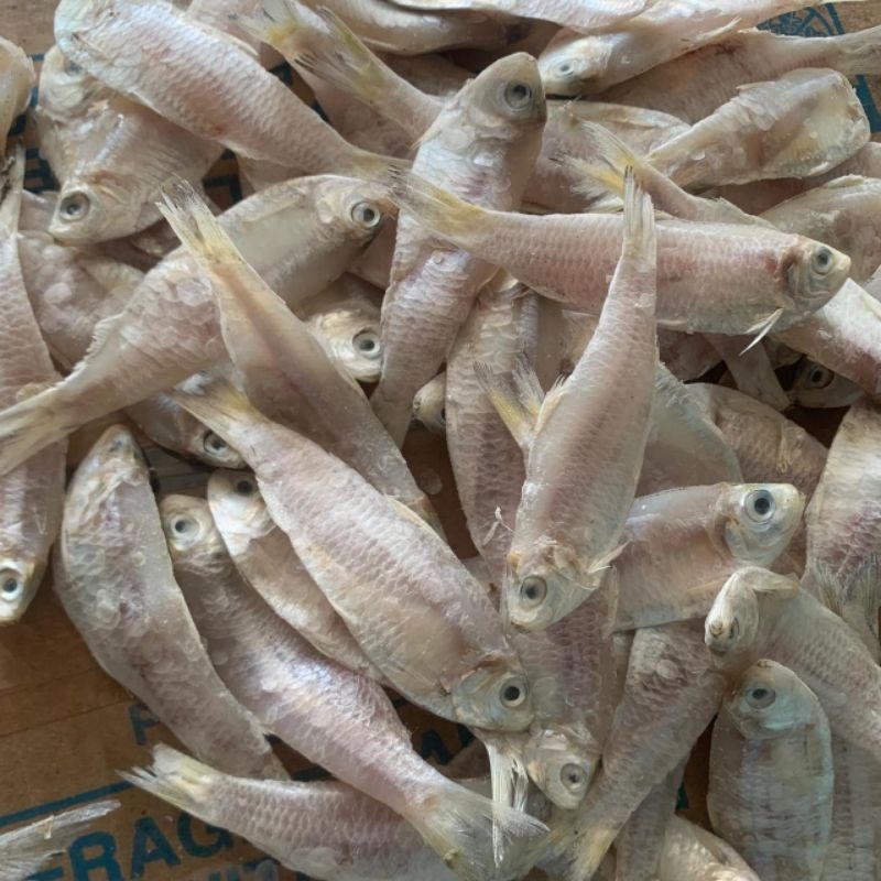 

ikan asin kelapan 1kg