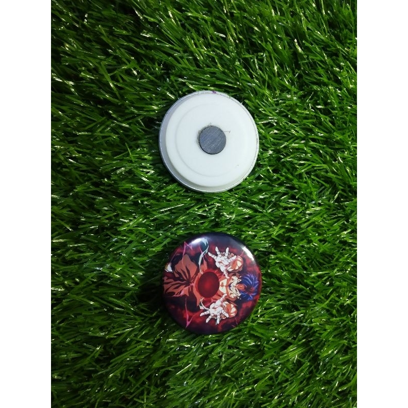 pin magnet dragon ball