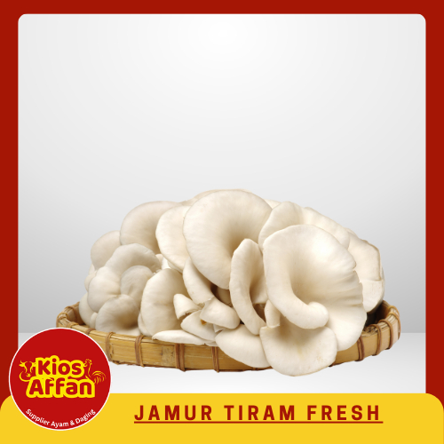 

Jamur Tiram Fresh Segar - 250gr/500gr/1kg