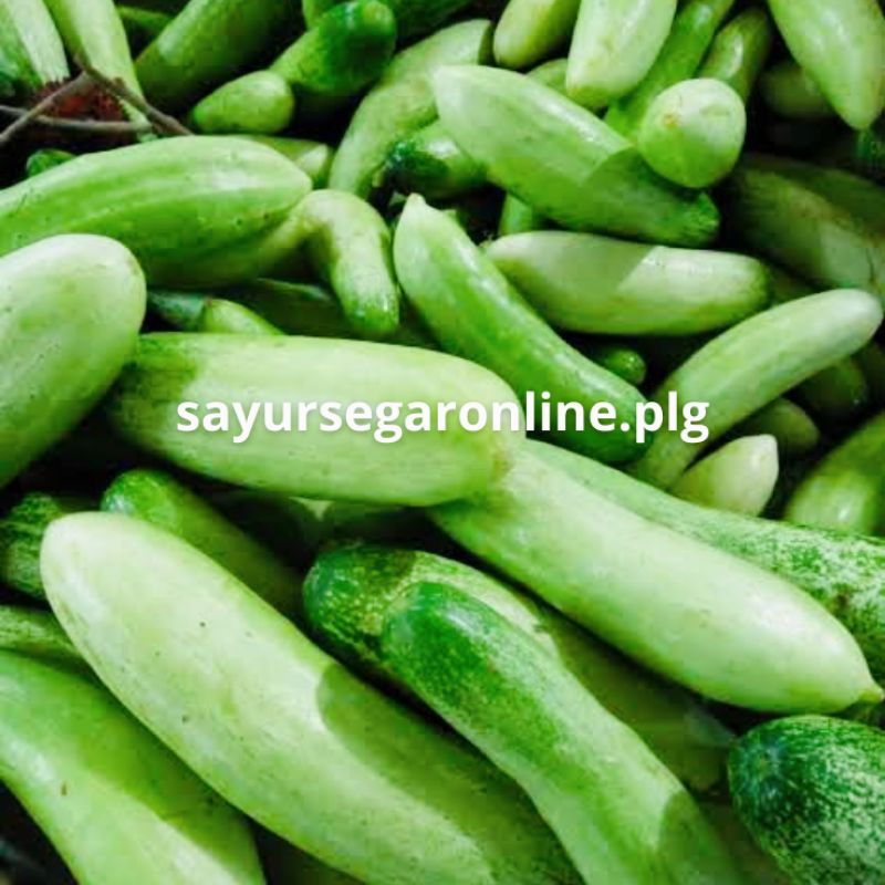 

TIMUN Kecil LALAP / Timun Acar (500 GR) - Sayur Online Palembang