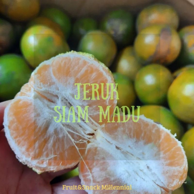 

Jeruk Siam Madu 1kg