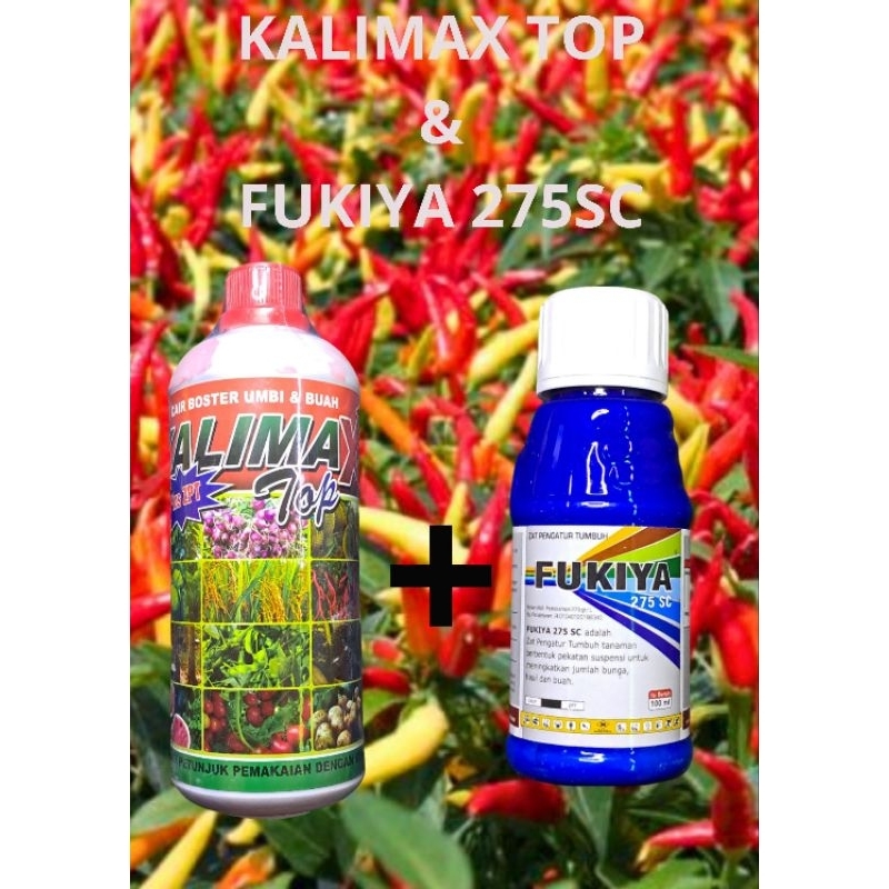 KALIMAX TOP + FUKIYA 275SC - KCL CAIR & ZPT