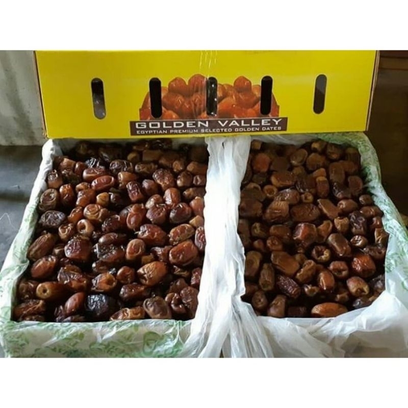 

Kurma Madu Mesir Golden Valley 500gr