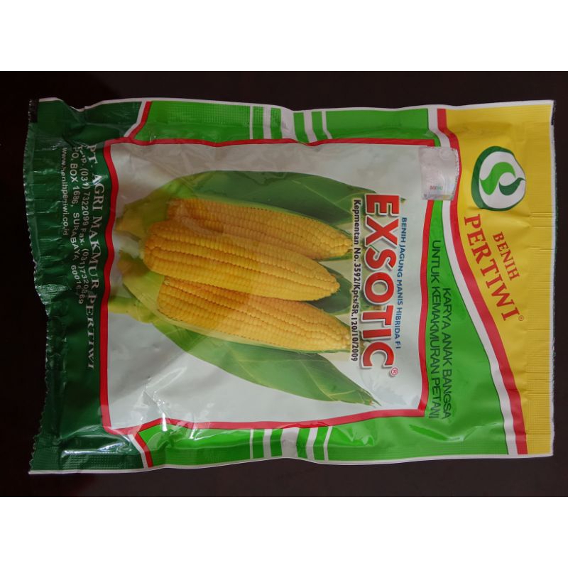 Benih Jagung Manis Exotic