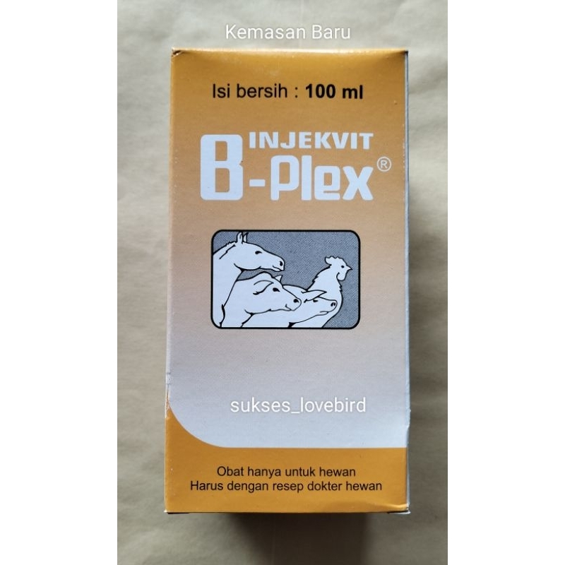 Injeksi Vitamin B-PLEX 100ml