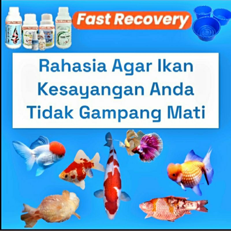 OBAT IKAN HIAS CUPANG/KOI/TAMASABA/KOKI/ ANTI VIRUS & BAKTERI FAST RECOVERY 50ML SEGALA PENYAKIT IKA