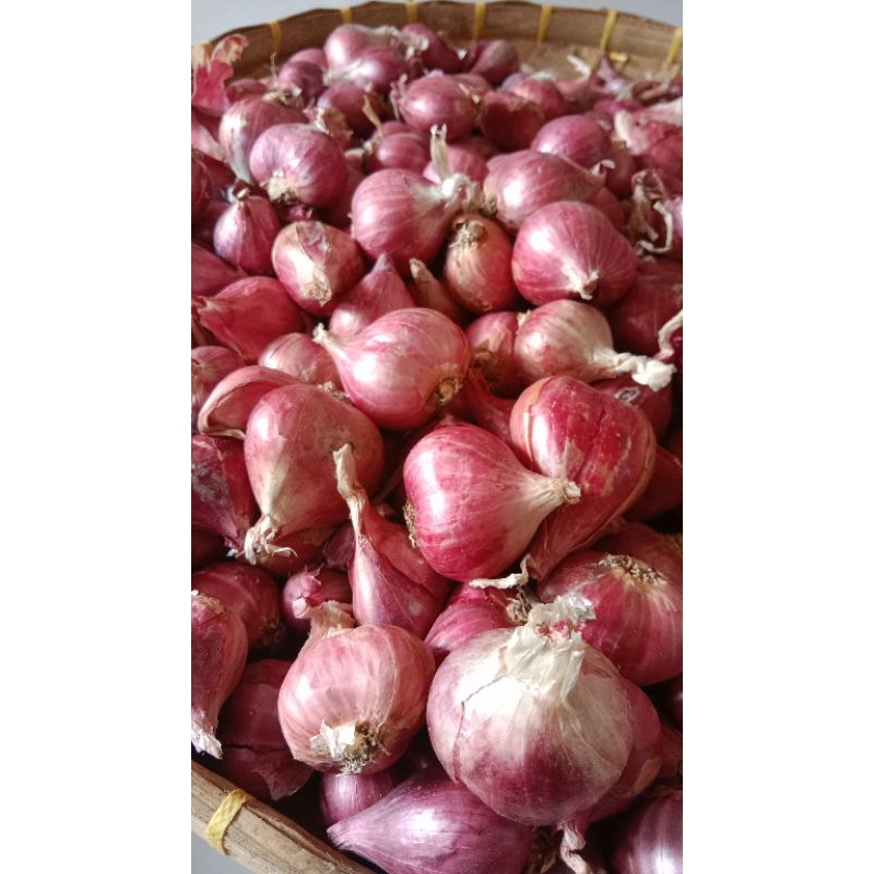 

PROMO BAWANG BREBES TERLARIS BAWANG MERAH SUPER KERING