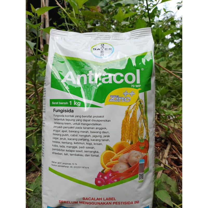 Antracol 70 WP 1kg