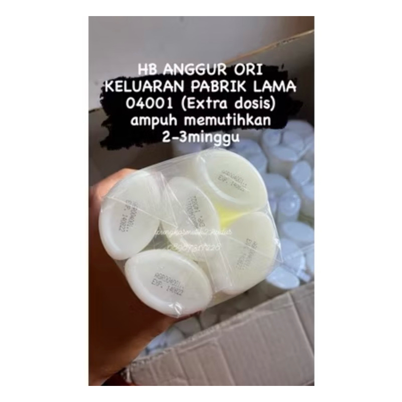 HB PABRIK LAMA 04001.. TITIK DUA /KLOBE ANGGUR /KLOBE JASMINE