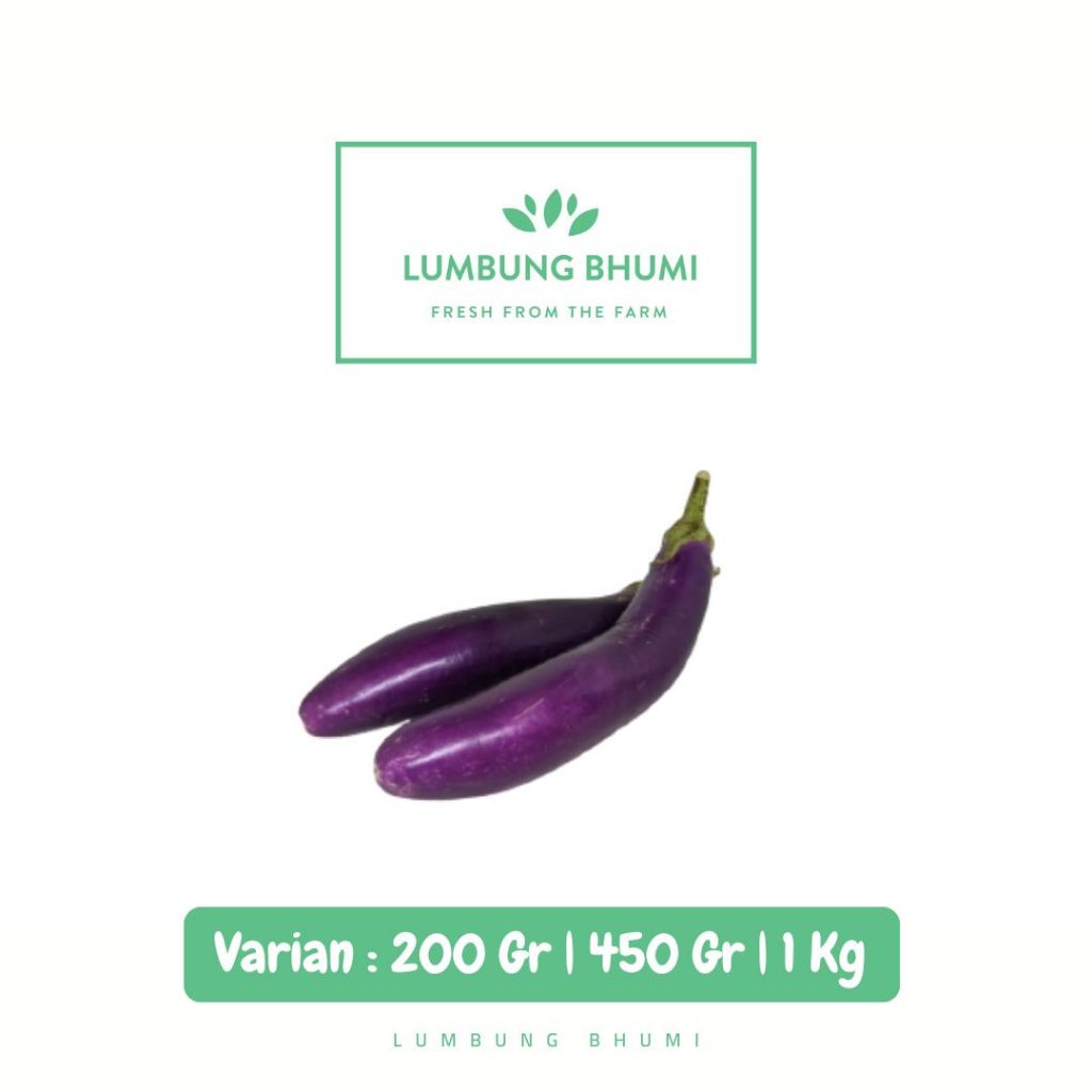 

Terong Ungu Sayur - Lumbung Bhumi
